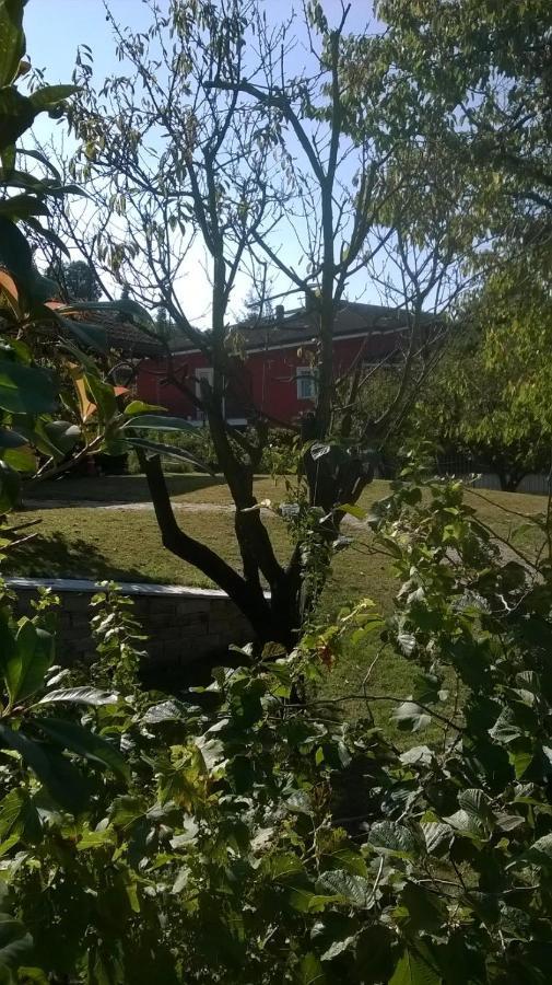'L Sass Bed & Breakfast Borgomanero Eksteriør bilde