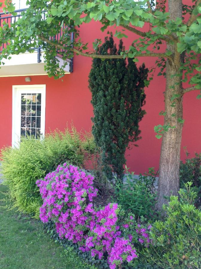 'L Sass Bed & Breakfast Borgomanero Eksteriør bilde