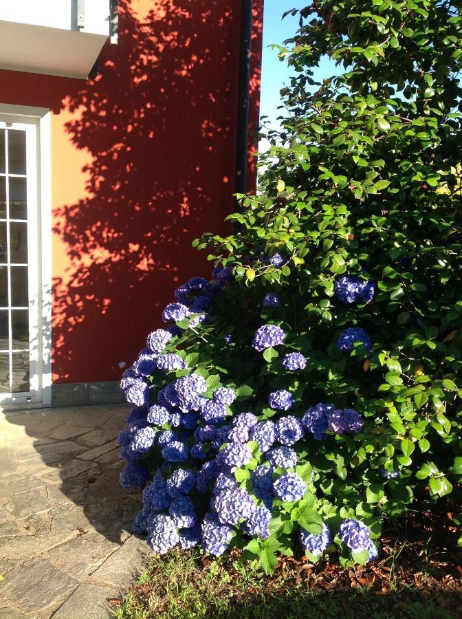 'L Sass Bed & Breakfast Borgomanero Eksteriør bilde